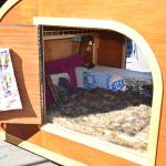 DSC_0167_01 (October 03, 2020)